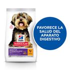 Hill's Science Plan Sensitive Stomach & Skin Small & Mini Pollo pienso para perros, , large image number null